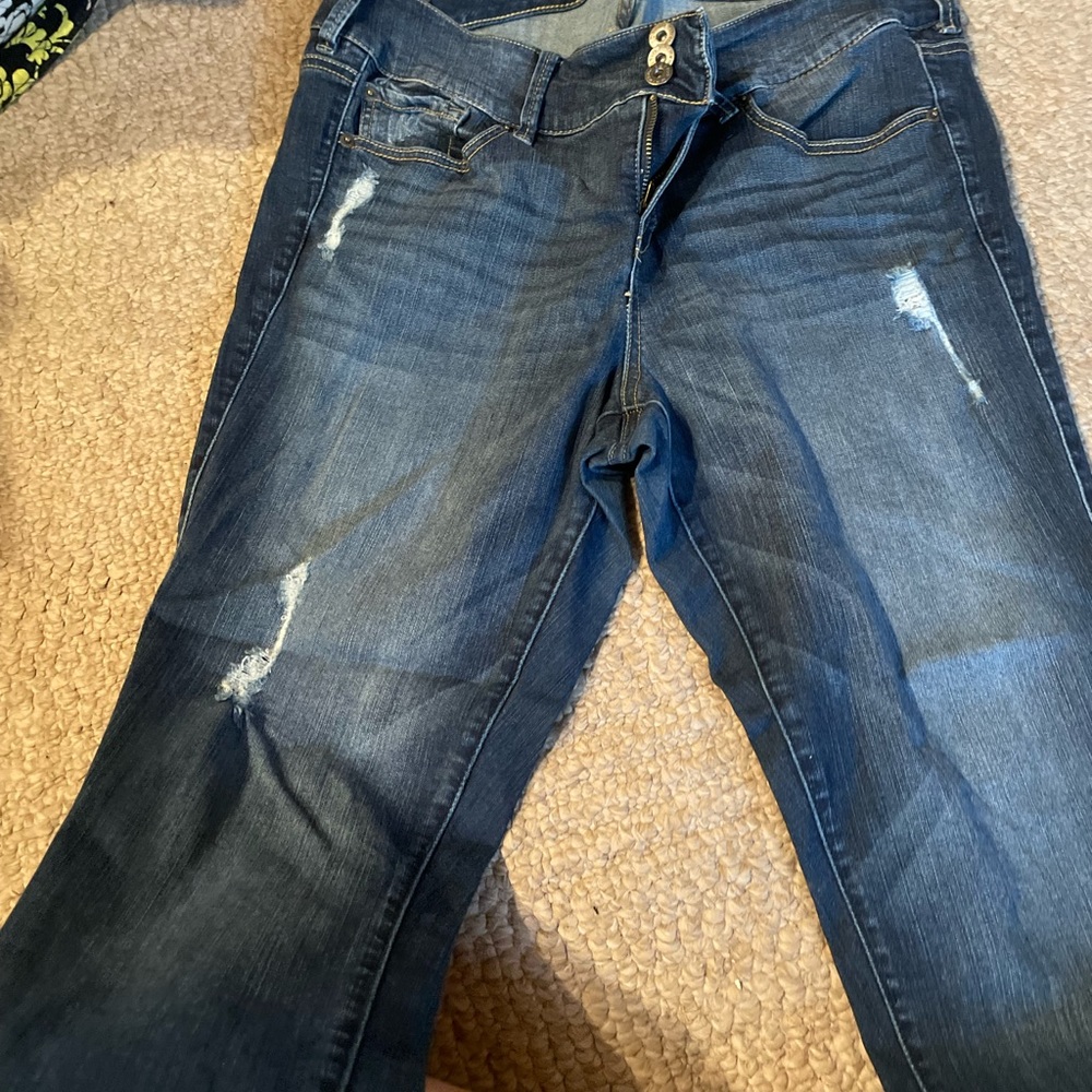 Torrid Jeans